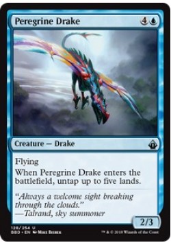 Peregrine Drake