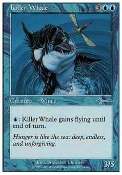 Killer Whale