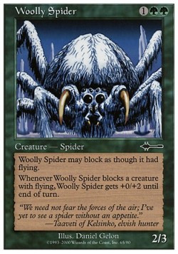 Woolly Spider