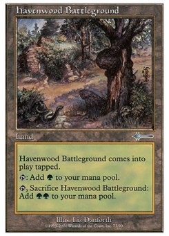 Havenwood Battleground