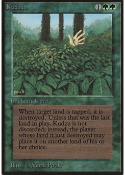 Kudzu