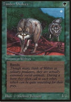 Timber Wolves