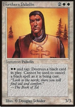 Northern Paladin