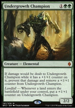 Undergrowth Champion