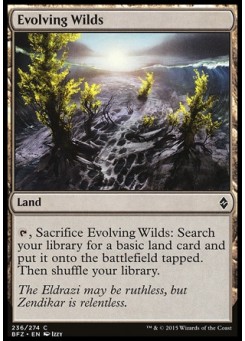 Evolving Wilds