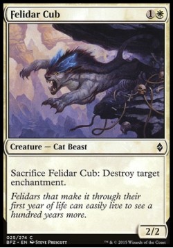 Felidar Cub