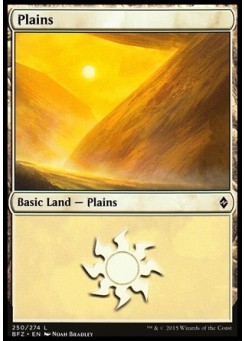 Plains