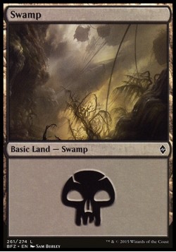 Swamp