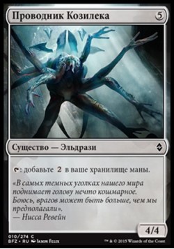 Проводник Козилека