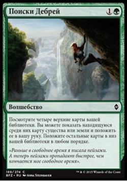 Поиски Дебрей