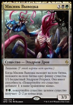 Мясник Выводка