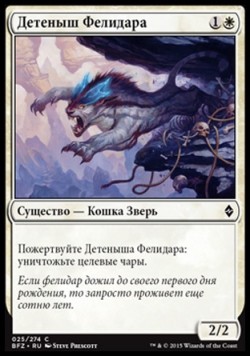 Детеныш Фелидара