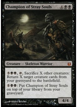 Champion of Stray Souls