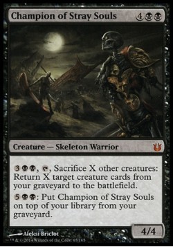 Champion of Stray Souls