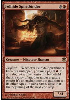 Felhide Spiritbinder