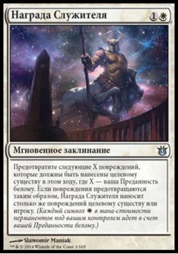 Награда Служителя