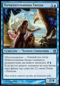 Почитательницы Гнезда