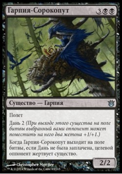 Гарпия-Сорокопут