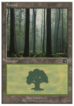Forest