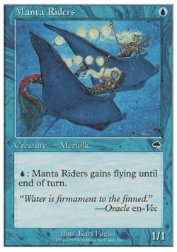 Manta Riders
