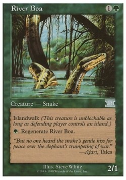 River Boa