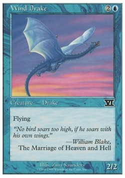 Wind Drake