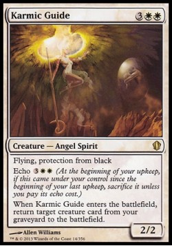 Karmic Guide
