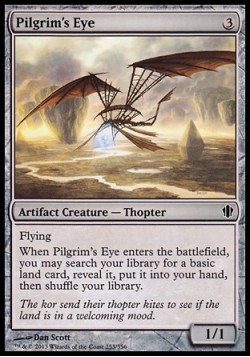 Pilgrim's Eye