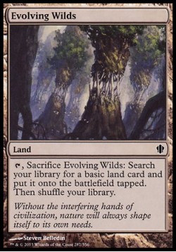 Evolving Wilds