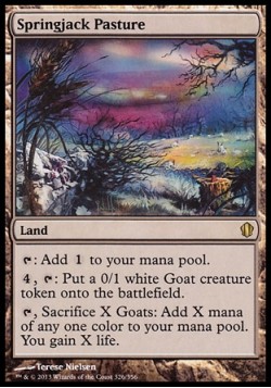 Springjack Pasture