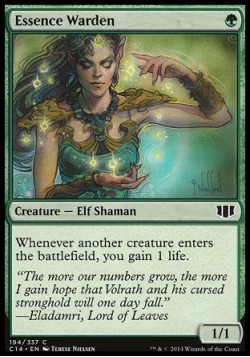 Essence Warden