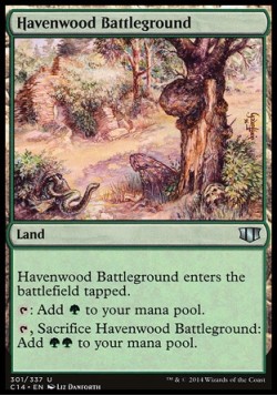 Havenwood Battleground