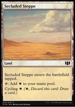 Secluded Steppe