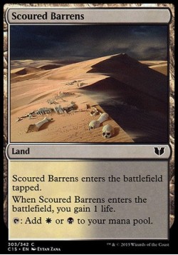 Scoured Barrens