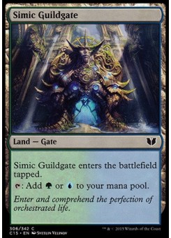 Simic Guildgate