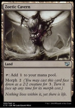 Zoetic Cavern