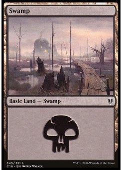 Swamp