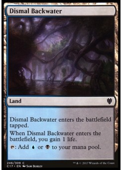 Dismal Backwater