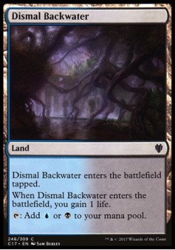 Dismal Backwater