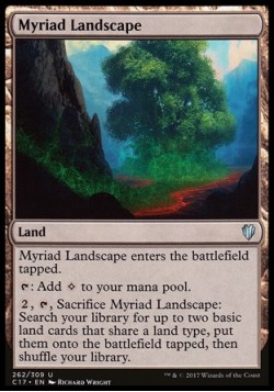 Myriad Landscape