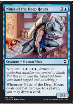 Ninja of the Deep Hours