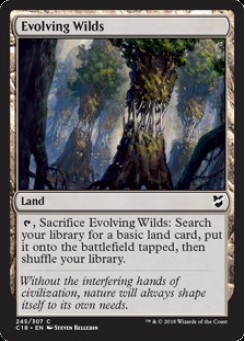 Evolving Wilds