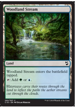 Woodland Stream