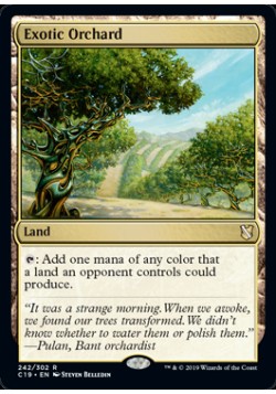 Exotic Orchard