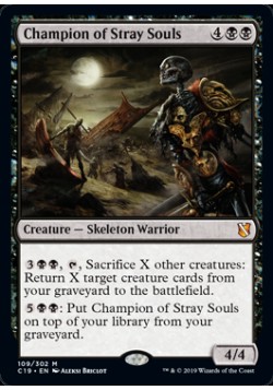 Champion of Stray Souls