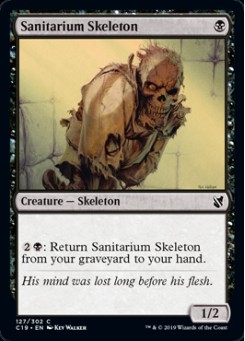 Sanitarium Skeleton