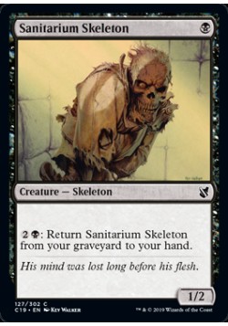 Sanitarium Skeleton