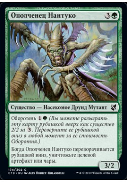 Ополченец Нантуко