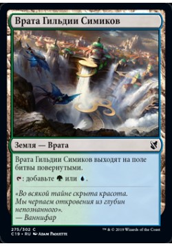 Врата Гильдии Симиков