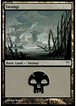 Swamp